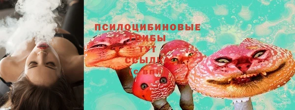 2c-b Абаза