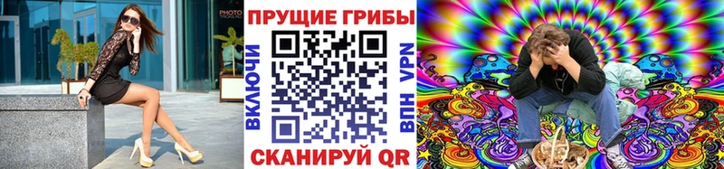 продажа наркотиков  Ядрин  Псилоцибиновые грибы Psilocybine cubensis 